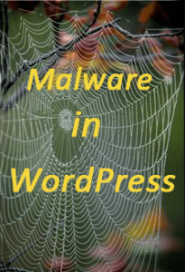 Malware in WordPress website blog security problem hack -How to remove 