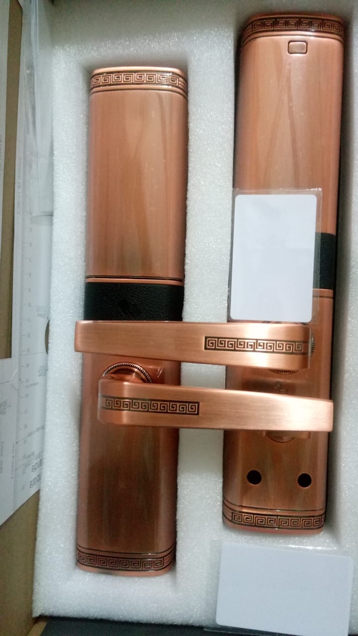 electronic door lock system