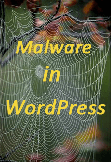 Malware in Wordpress website blog security problem hack -How to remove