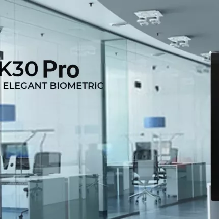 N-K30 Biomax Biometric Attendance System