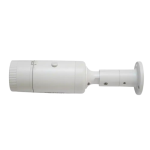 Bullet_img-2