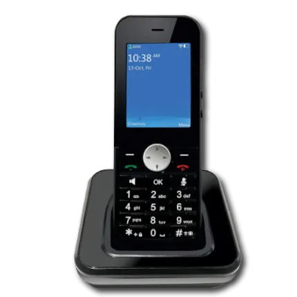Wireless IP PHONE DW-100 Dasscom Cordless dw-100